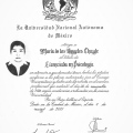 Ampliar imagen: certificate 1