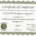 Ampliar imagen: certificate 6