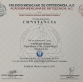 Ampliar imagen: certificate 1