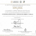 Ampliar imagen: certificate 1