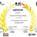 Ampliar imagen: certificate 5