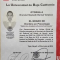 Ampliar imagen: certificate 12
