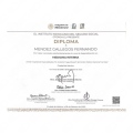 Ampliar imagen: certificate 3