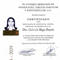 Ampliar imagen: certificate 2