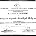 Ampliar imagen: certificate 7