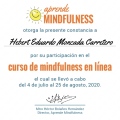 Ampliar imagen: certificate 6