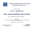 Ampliar imagen: certificate 11