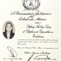 Ampliar imagen: certificate 6