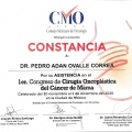 Ampliar imagen: certificate 3
