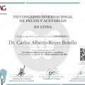 Ampliar imagen: certificate 3