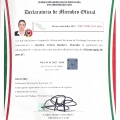 Ampliar imagen: certificate 29