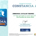 Ampliar imagen: certificate 13