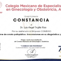 Ampliar imagen: certificate 25