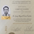 Ampliar imagen: certificate 2