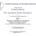 Ampliar imagen: certificate 4