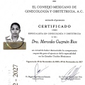 Ampliar imagen: certificate 3