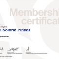 Ampliar imagen: certificate 9