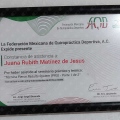 Ampliar imagen: certificate 6
