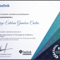 Ampliar imagen: certificate 5