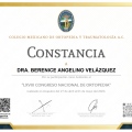 Ampliar imagen: certificate 4