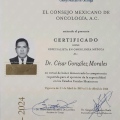 Ampliar imagen: certificate 4