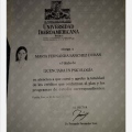 Ampliar imagen: certificate 6