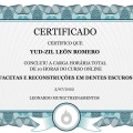 Ampliar imagen: certificate 2