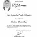 Ampliar imagen: certificate 3