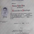 Ampliar imagen: certificate 15