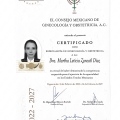 Ampliar imagen: certificate 1