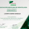 Ampliar imagen: certificate 43