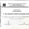 Ampliar imagen: certificate 8