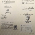 Ampliar imagen: certificate 18