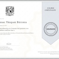 Ampliar imagen: certificate 12
