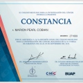 Ampliar imagen: certificate 13