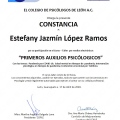 Ampliar imagen: certificate 2