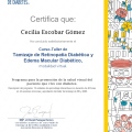 Ampliar imagen: certificate 4