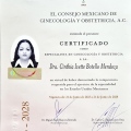 Ampliar imagen: certificate 1