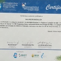 Ampliar imagen: certificate 10