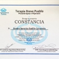Ampliar imagen: certificate 19