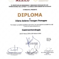 Ampliar imagen: certificate 5