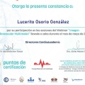 Ampliar imagen: certificate 41