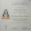Ampliar imagen: certificate 5