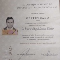 Ampliar imagen: certificate 2