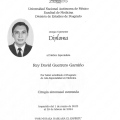 Ampliar imagen: certificate 3
