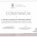 Ampliar imagen: certificate 9