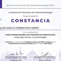 Ampliar imagen: certificate 5