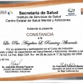 Ampliar imagen: certificate 22
