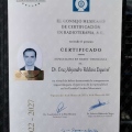 Ampliar imagen: certificate 1