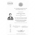 Ampliar imagen: certificate 1